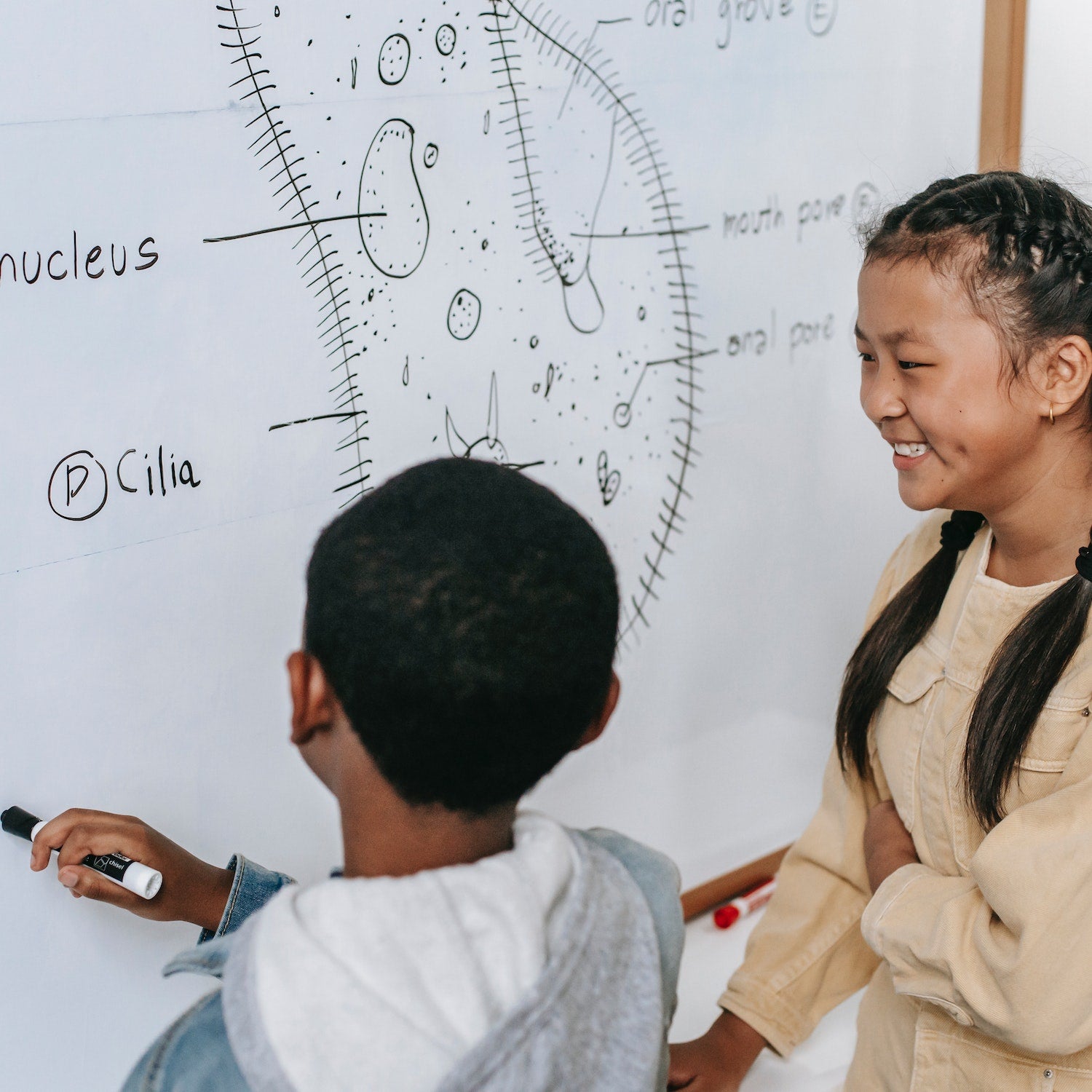 Unlocking the Potential of Lion's Mane Mushrooms for ADHD A Natural R