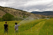 Load image into Gallery viewer, Tallow Skin Cream, Organic Grass-Fed & Finished - Handmade in Small Batches with Essential Oil Blends, Beef Tallow Moisturizer Balm for Body & Hands, Aurora Scent, 2oz / 60ml