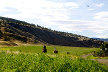 Load image into Gallery viewer, Tallow Skin Cream, Organic Grass-Fed & Finished - Handmade in Small Batches with Essential Oil Blends, Beef Tallow Moisturizer Balm for Body & Hands, Aurora Scent, 2oz / 60ml