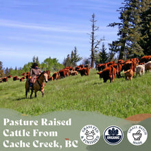 Load image into Gallery viewer, Tallow Skin Cream, Organic Grass-Fed & Finished - Handmade in Small Batches with Essential Oil Blends, Beef Tallow Moisturizer Balm for Body & Hands, Aurora Scent, 2oz / 60ml