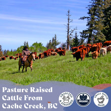 Load image into Gallery viewer, Tallow Skin Cream, Organic Grass-Fed & Finished - Handmade in Small Batches with Essential Oil Blends, Beef Tallow Moisturizer Balm for Body & Hands, Aurora Scent, 2oz / 60ml