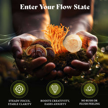 Load image into Gallery viewer, SEA MOSS + SMART SHROOMS LIQUID DROPS | Elevate Your Performance, Balance Your Mind