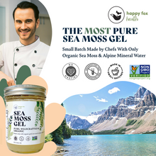 Load image into Gallery viewer, SEA MOSS GEL | PURE, GOLD