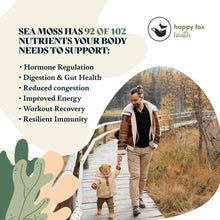 Load image into Gallery viewer, SEA MOSS GEL | PURE, GOLD