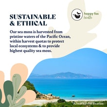 Load image into Gallery viewer, SEA MOSS GEL | PURE, GOLD