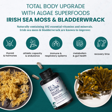 Load image into Gallery viewer, SEA MOSS + SMART SHROOMS CAPSULES | Brain and body functional support