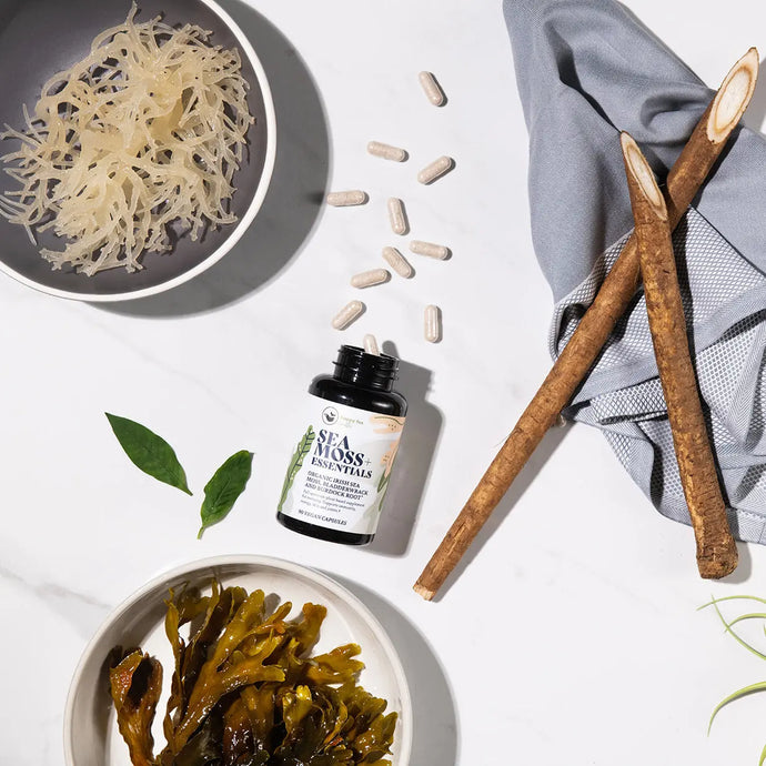 The Foundation To Good Health With Sea Moss + Essentials