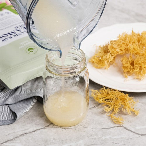 Learn How To Make Sea Moss Gel!