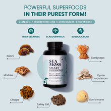 Load image into Gallery viewer, HAPPY FOX Irish Sea Moss Capsules &amp; Mushroom Complex - Organic Seamoss with Adaptogens for Brain Health, 1500mg, 90 Vegan Capsules, Organic Mushroom Supplement
