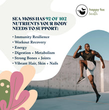 Load image into Gallery viewer, HAPPY FOX Organic Sea Moss Raw Gold - Makes 75oz of Seamoss Gel Rich in Vitamins &amp; Minerals, Certified Non-GMO, Wildcrafted, Sundried Superfood - 100 gram Bag
