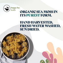 Load image into Gallery viewer, GOLD SEA MOSS | Marine algae superfood
