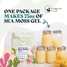 Load image into Gallery viewer, HAPPY FOX Organic Sea Moss Raw Gold - Makes 75oz of Seamoss Gel Rich in Vitamins &amp; Minerals, Certified Non-GMO, Wildcrafted, Sundried Superfood - 100 gram Bag
