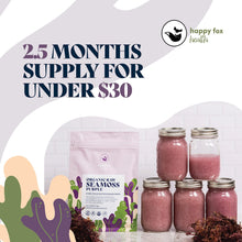 Load image into Gallery viewer, HAPPY FOX Organic Sea Moss Raw Gold - Makes 75oz of Seamoss Gel Rich in Vitamins &amp; Minerals, Certified Non-GMO, Wildcrafted, Sundried Superfood - 100 gram Bag
