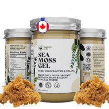 Load image into Gallery viewer, HAPPY FOX Organic Sea Moss Gel Made from Real Seamoss &amp; Alpine Mineral Water. Pure Wildcrafted Sea Moss, Small Batch Made &amp; Approved by Dr Sebi Sea Moss Gel. Shelf Stable, 8 fl oz.
