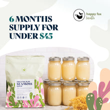 Load image into Gallery viewer, HAPPY FOX Organic Sea Moss Raw Gold - Makes 75oz of Seamoss Gel Rich in Vitamins &amp; Minerals, Certified Non-GMO, Wildcrafted, Sundried Superfood - 100 gram Bag
