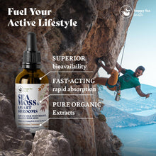 Load image into Gallery viewer, HAPPY FOX Irish Sea Moss Capsules &amp; Mushroom Complex - Organic Seamoss with Adaptogens for Brain Health, 1500mg, 90 Vegan Capsules, Organic Mushroom Supplement
