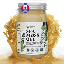 Load image into Gallery viewer, SEA MOSS GEL | PURE, GOLD
