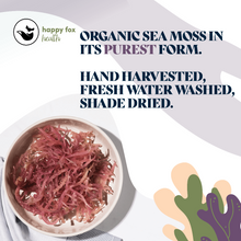 Load image into Gallery viewer, PURPLE SEA MOSS | Full phytonutrients and bold flavor
